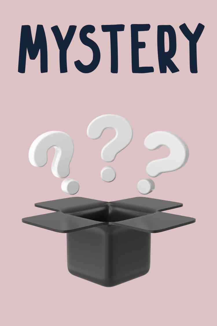 Mystery Box Scarfs Box - Mii - Estilo